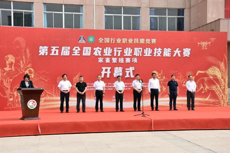 amjs澳金沙门151(集团)有限公司官网