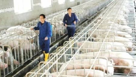 amjs澳金沙门151(集团)有限公司官网