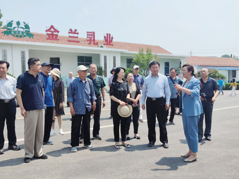 amjs澳金沙门151(集团)有限公司官网