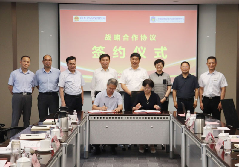 amjs澳金沙门151(集团)有限公司官网
