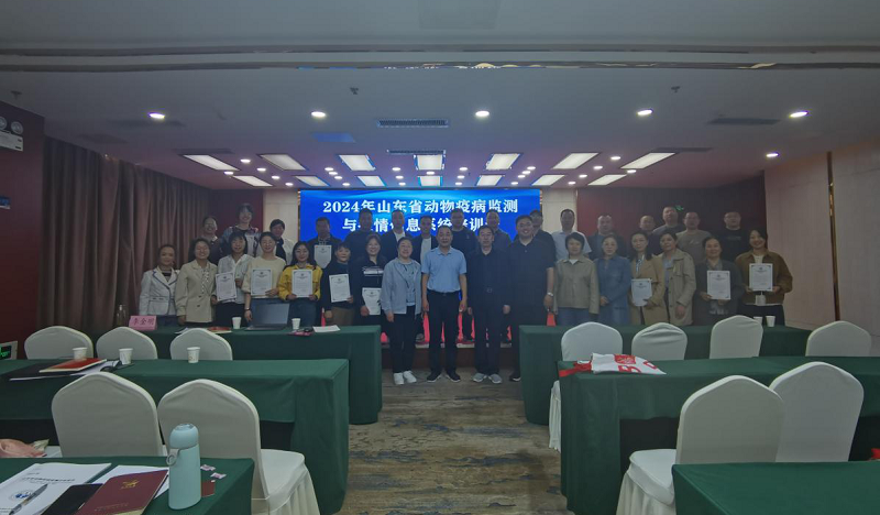 amjs澳金沙门151(集团)有限公司官网