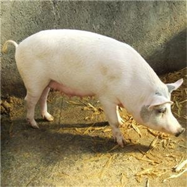 amjs澳金沙门151(集团)有限公司官网