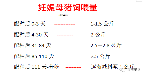 amjs澳金沙门151(集团)有限公司官网