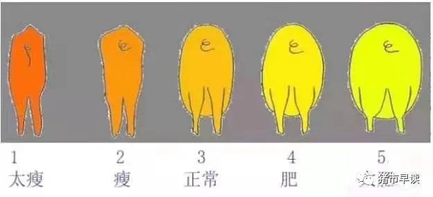 amjs澳金沙门151(集团)有限公司官网