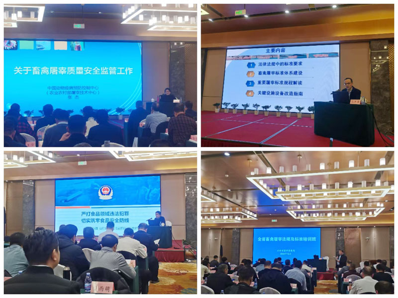amjs澳金沙门151(集团)有限公司官网