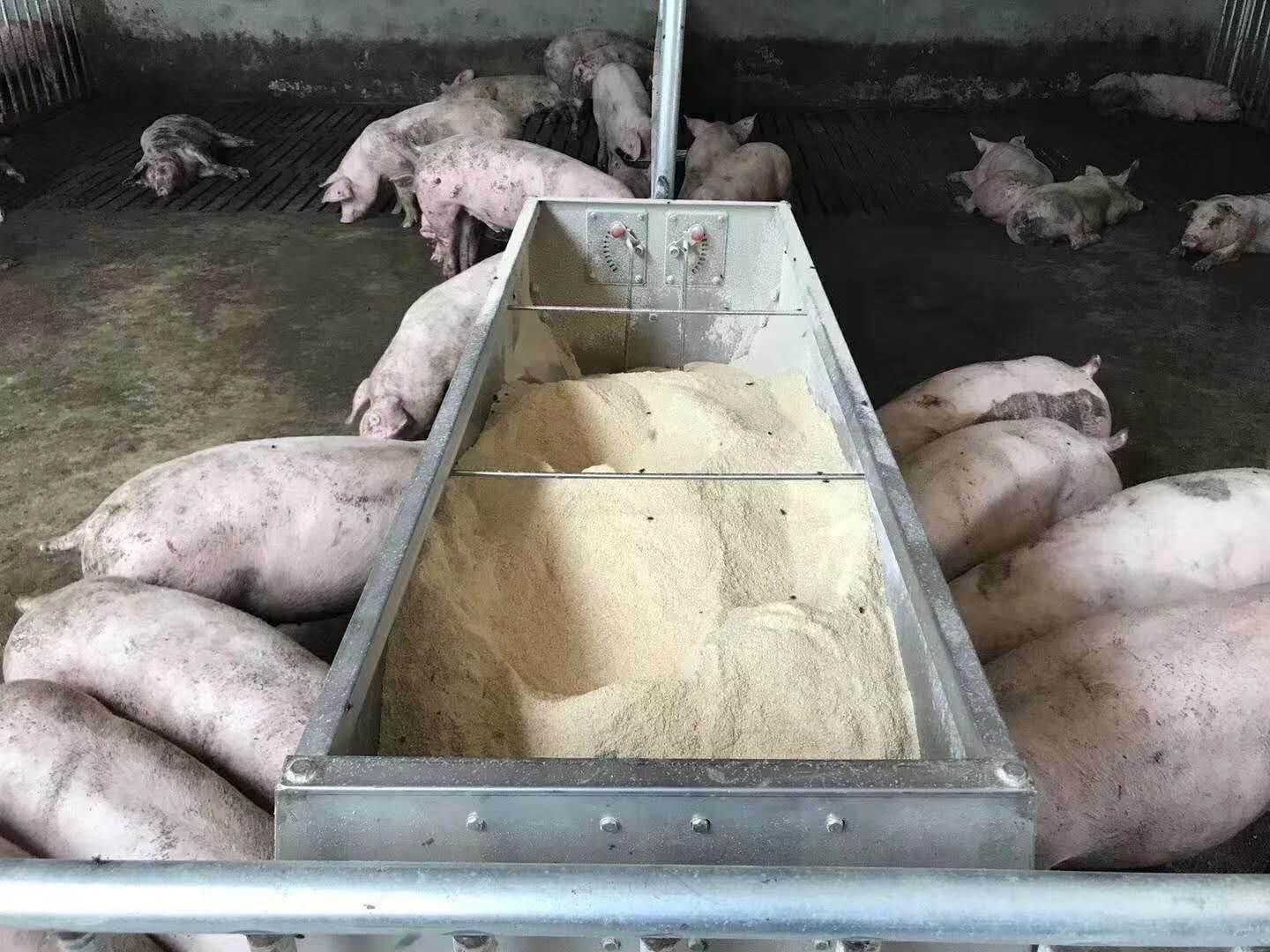 amjs澳金沙门151(集团)有限公司官网
